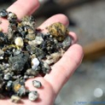 Sommerwoche 2015 - Teil 3